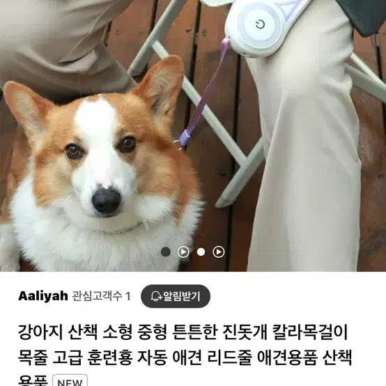 강아지 자동 리드줄 등 애견용품 구경하고 가세요^^