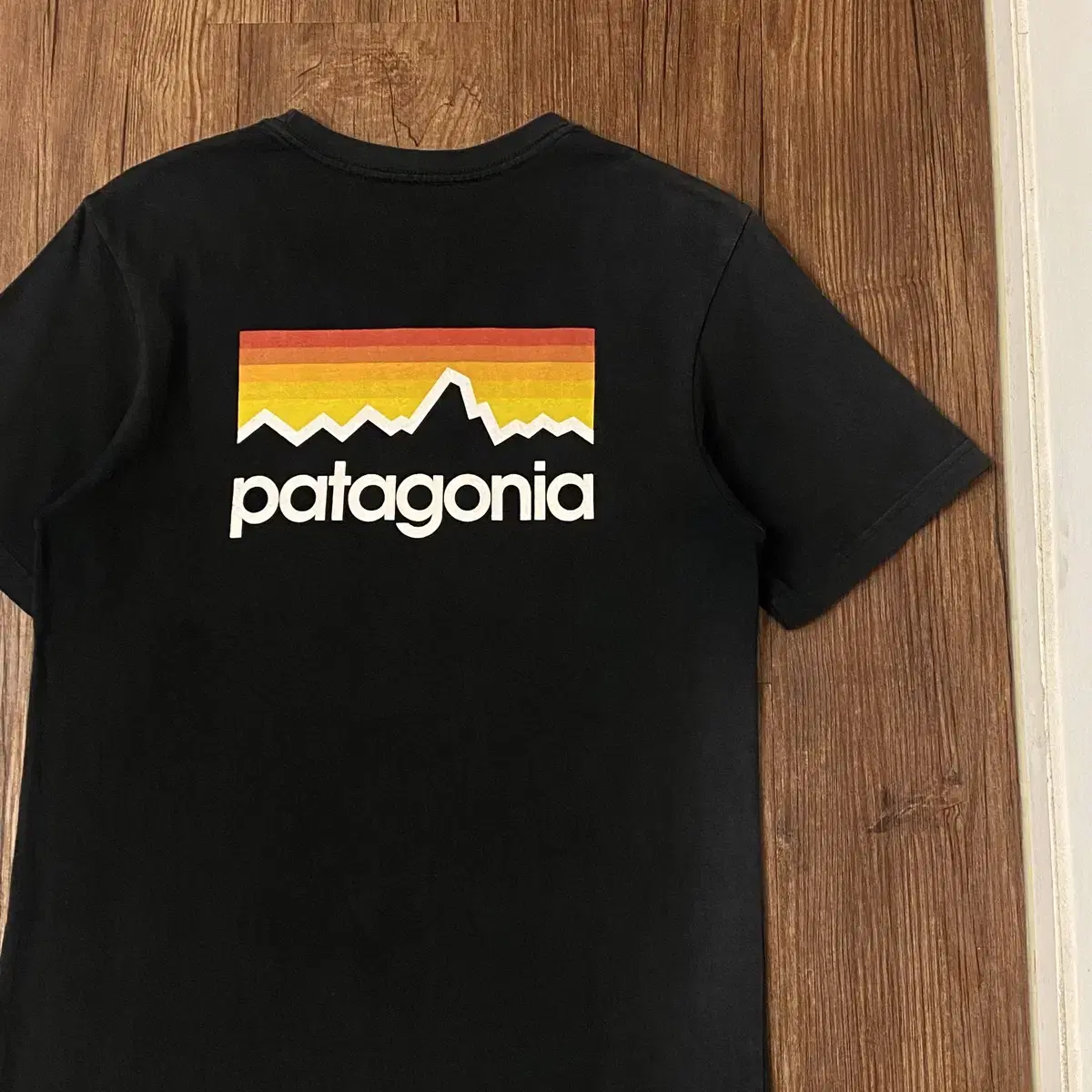 Patagonia 파티고니아 오가닉코튼 반팔티셔츠