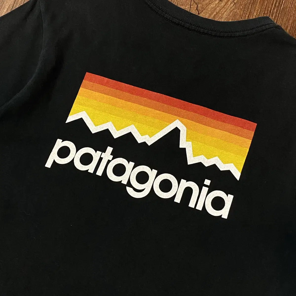 Patagonia 파티고니아 오가닉코튼 반팔티셔츠