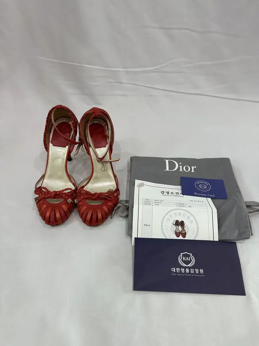 [35] Dior Lady Dior Women's Canage Charm Sandals Pumps Red