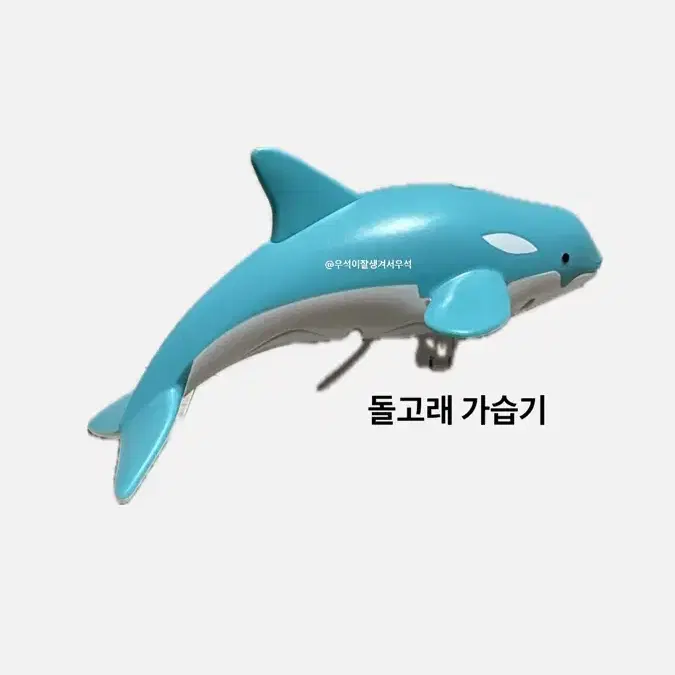 돌고래 가습기