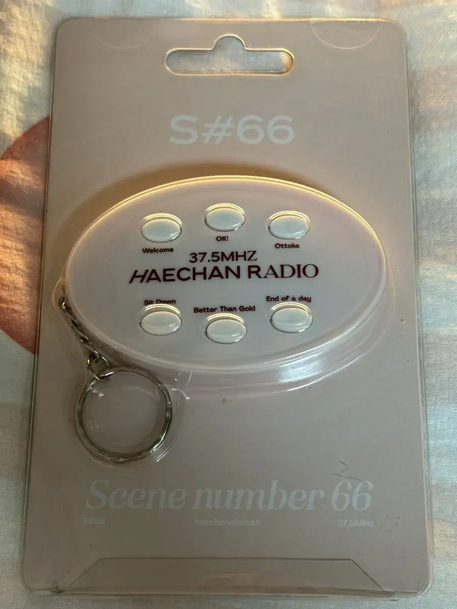 NCT haechan Full Summer Video Conference Voice Keyring WTS