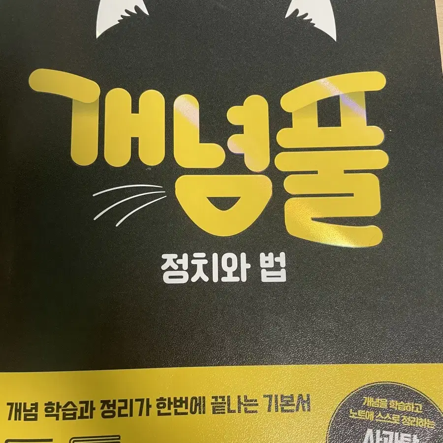 지학사 개념풀 정치와법