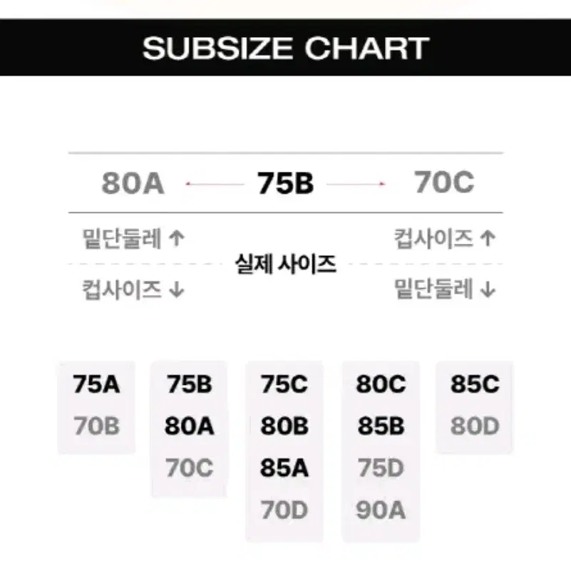 게스 실버라이트 브라 팬티 세트 GUESS 로고 브래지어 세트 네이비