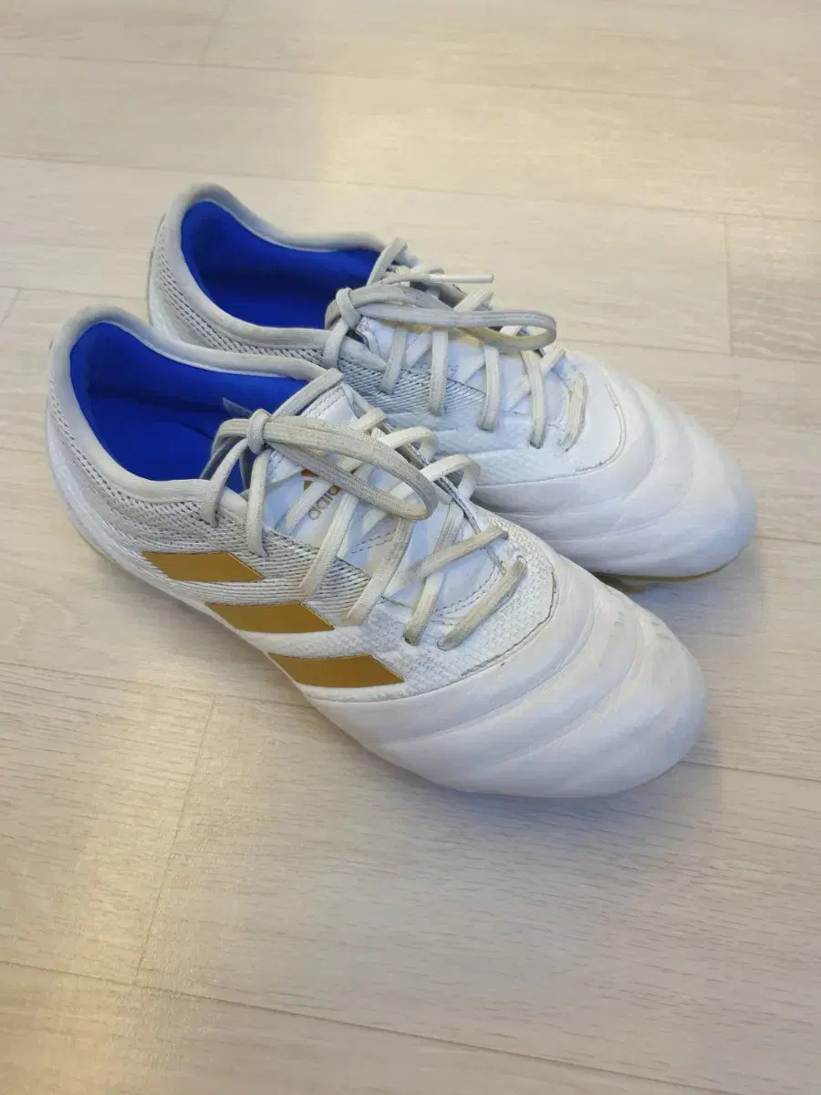 245mm Adidas soccer shoes f35488