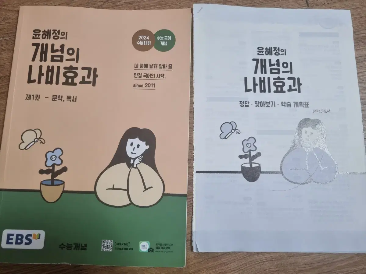 윤혜정 개념의 나비효과(택포