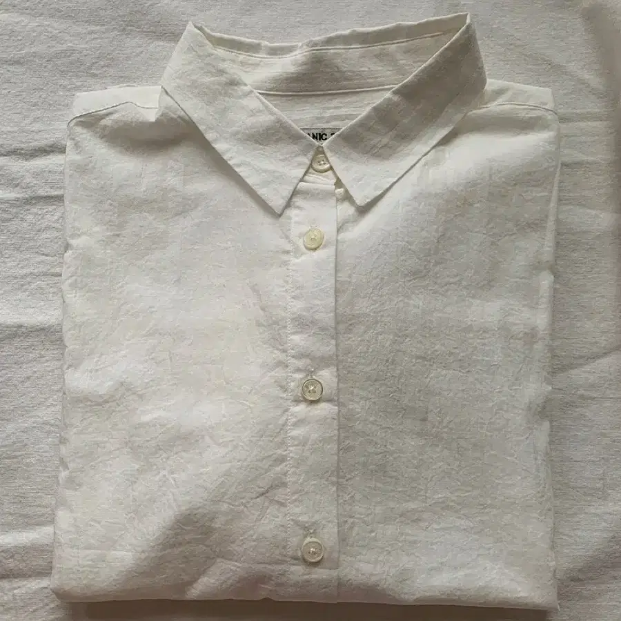 얼바닉30 greek shirts 크림