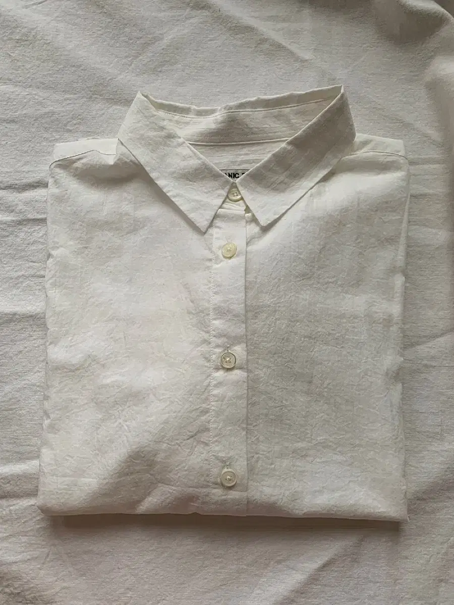 얼바닉30 greek shirts 크림