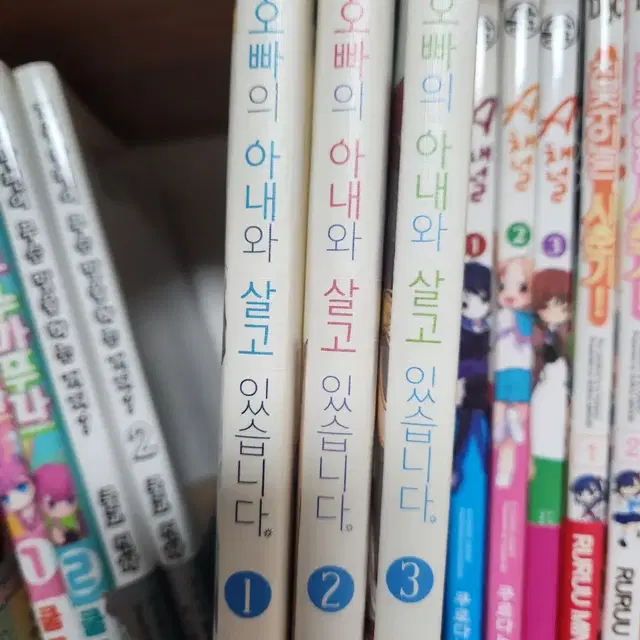 오빠의 아내와 살고 있습니다 1~3권