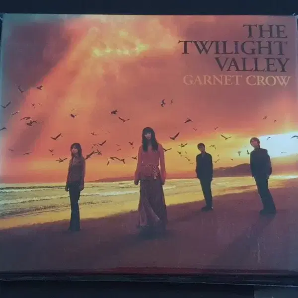 가넷크로우 5집 앨범 TWILIGHT VALLEY (CD+DVD) 한정반