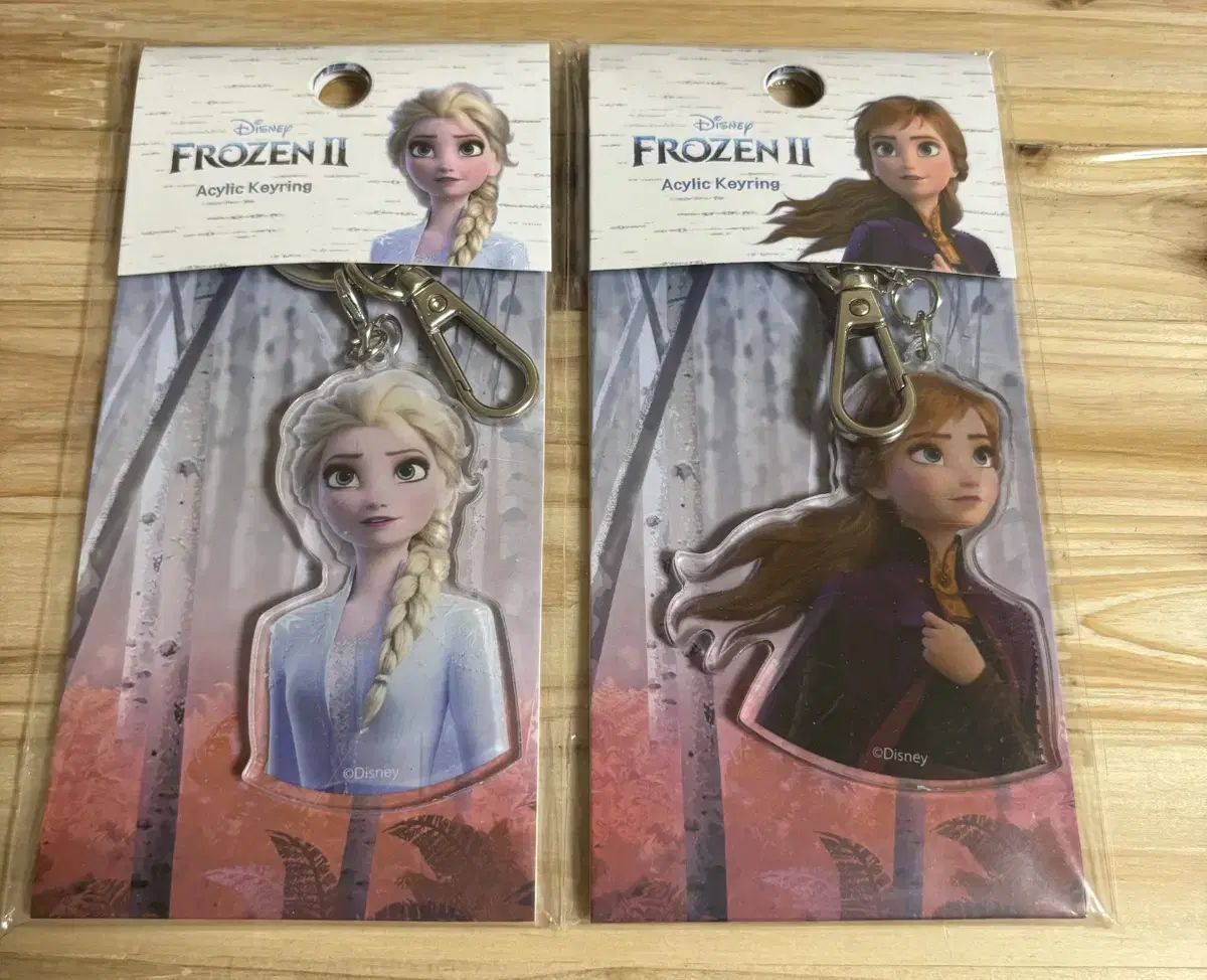 Frozen 2 acrylic keyring