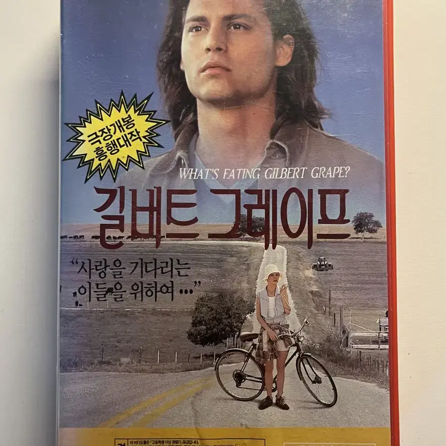 레오나르도 디카프리오 VHS 비디오테이프 조니뎁 메릴스트립 토탈이클립스