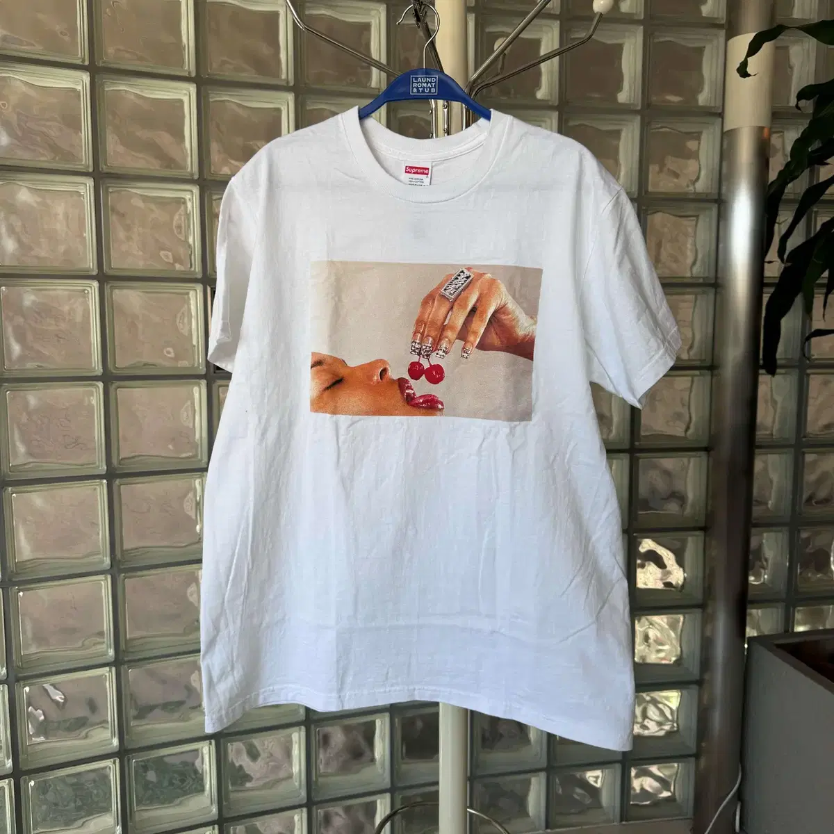 supreme cherries tee 24893736