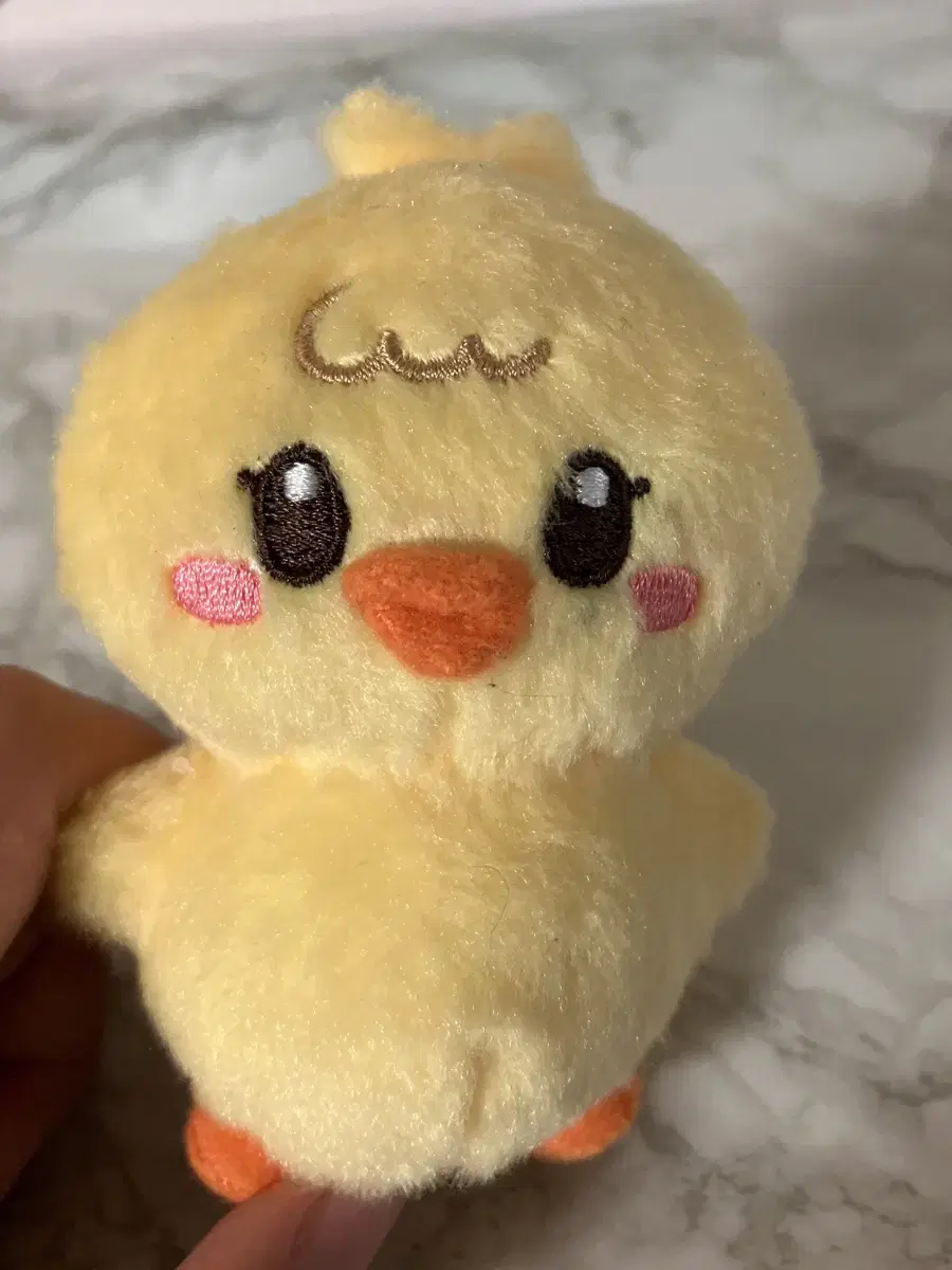 Seventeen doll sells puduks