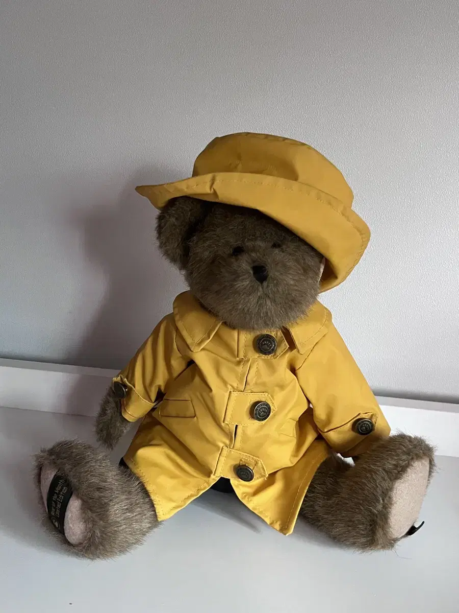 Boys Bear Raincoat Bear Fireman Bear