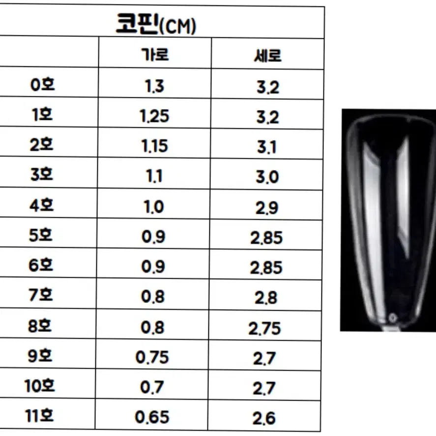 제투네일 butterfly 네일팁