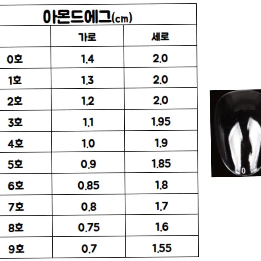 제투네일 butterfly 네일팁