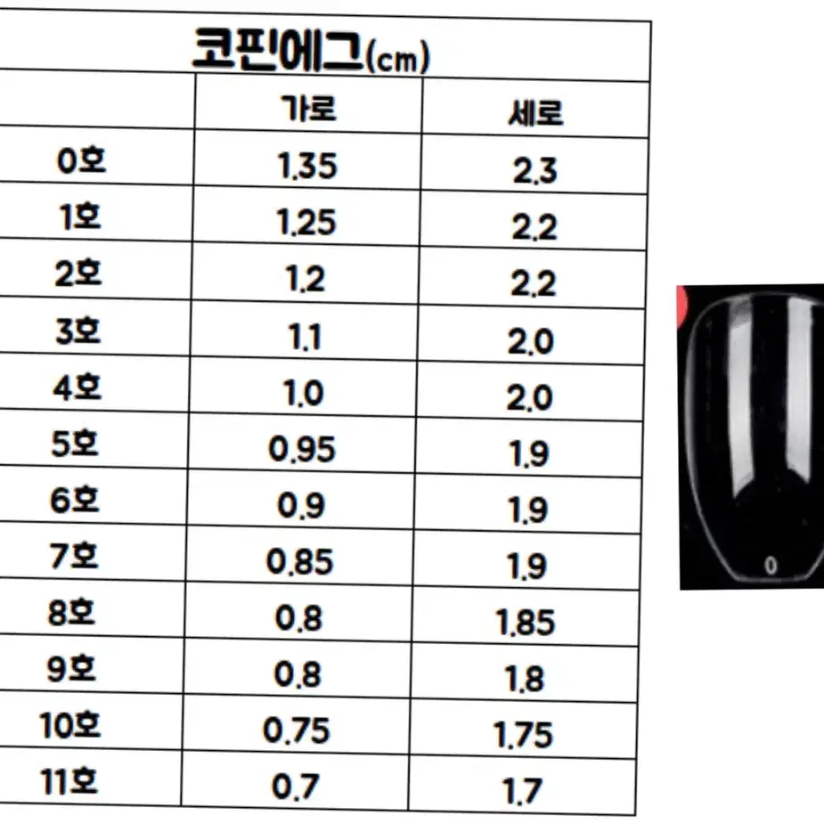 제투네일 butterfly 네일팁