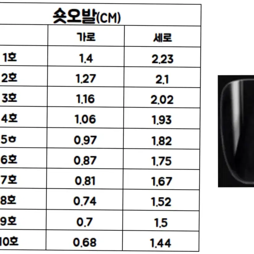 제투네일 butterfly 네일팁