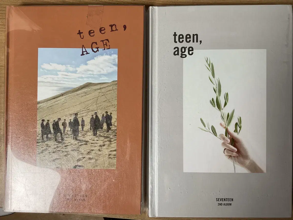 SEVENTEEN seventeen - TEEN AGE Regular 2nd Album VER