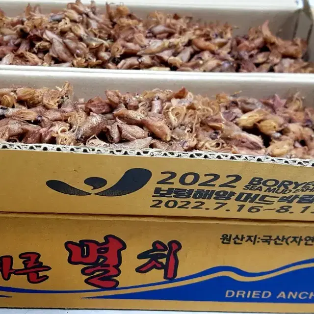 최상급 남해안 신선한 햇꼴뚜기 건꼴뚜기 (750g/1.5kg)