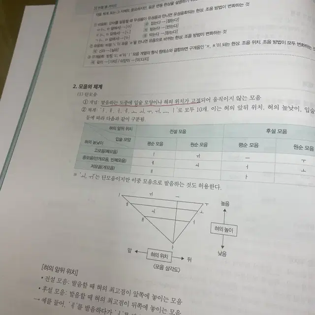 2025 강기분 언어와 매체