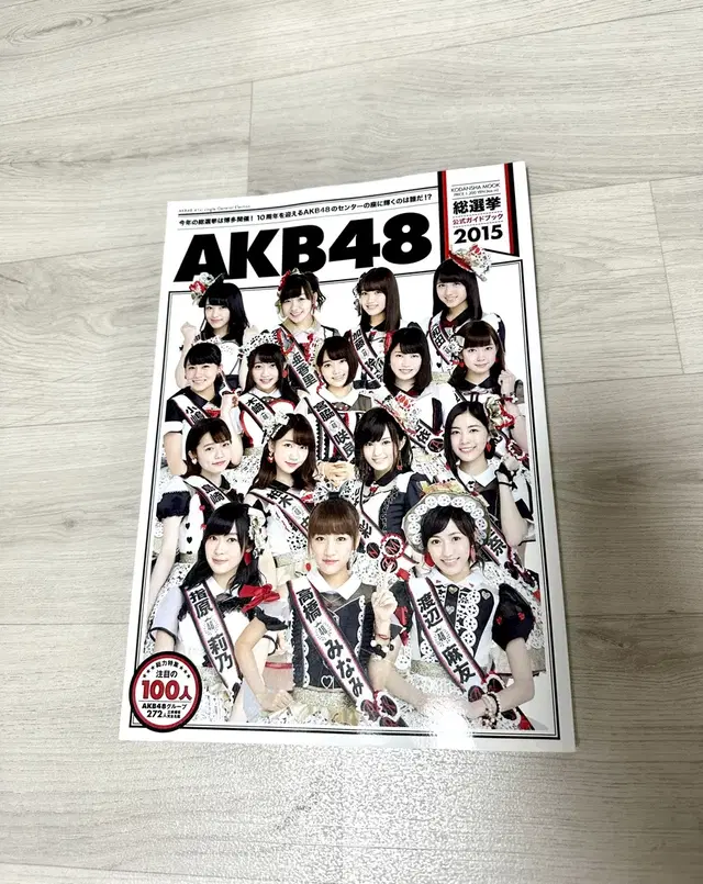 akb48 총선거 가이드북 2015