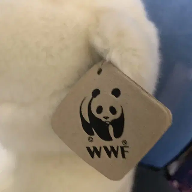 WWF 북극곰,아기북극곰 멸종위기종 인형 팝니다. 곰인형