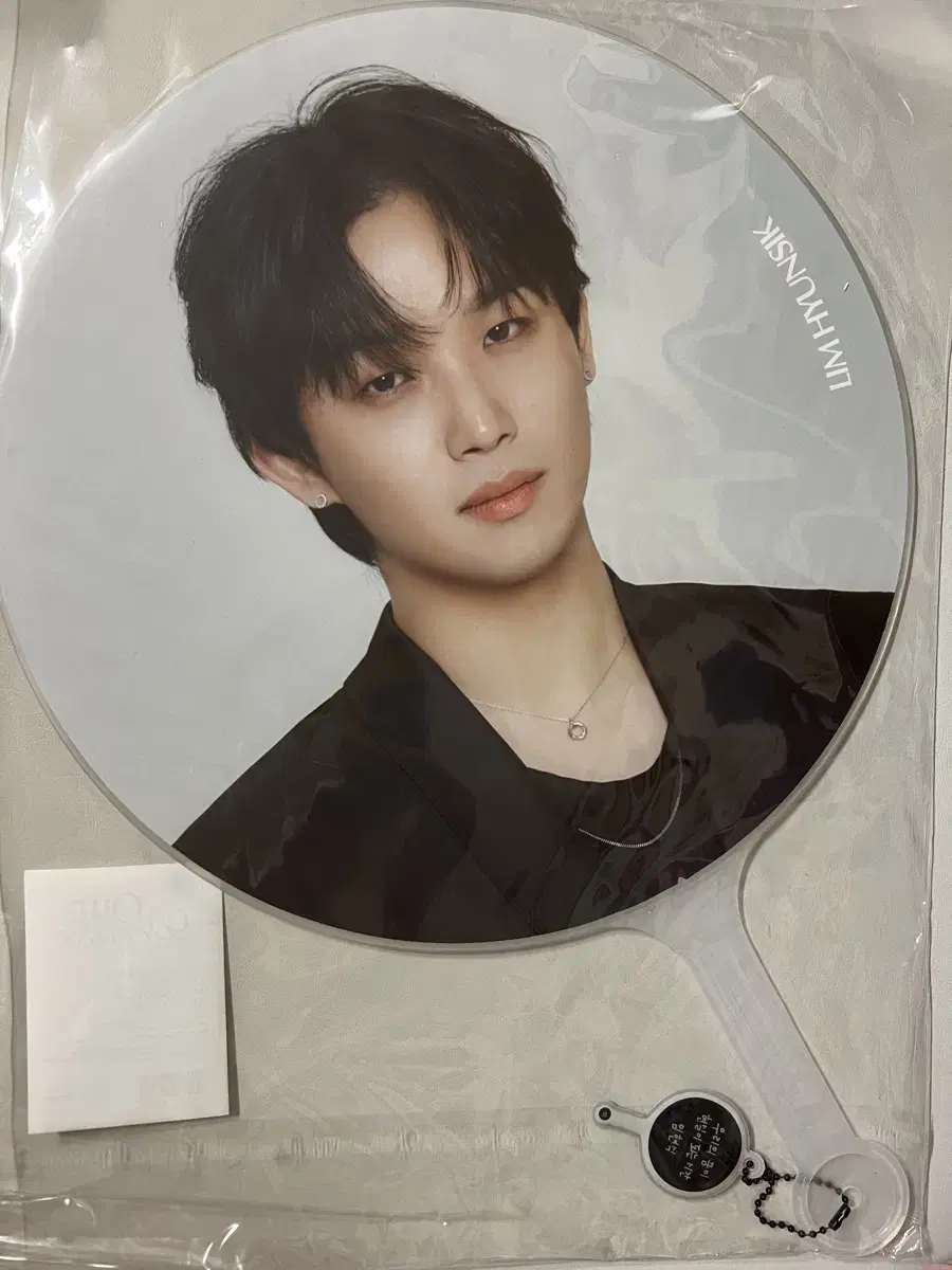 BTOB lim hyunsik 2024 Fan Con Image Picket