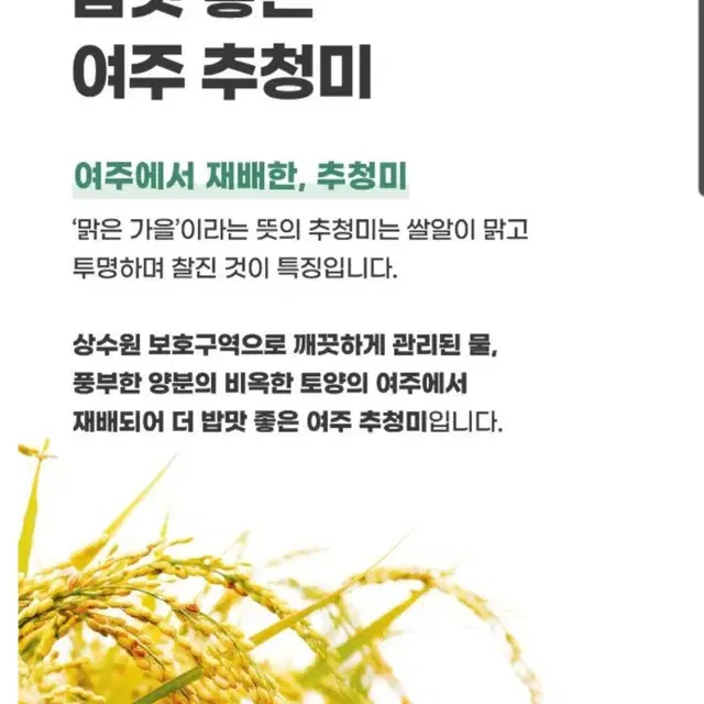 여주시농협 여주대왕님표 여주쌀추정단아미특등급10KG23년햅쌀 24790원