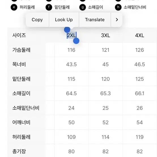 ANDZ 앤드지 여름용 스판 와이셔츠 2종 / 110 2xl