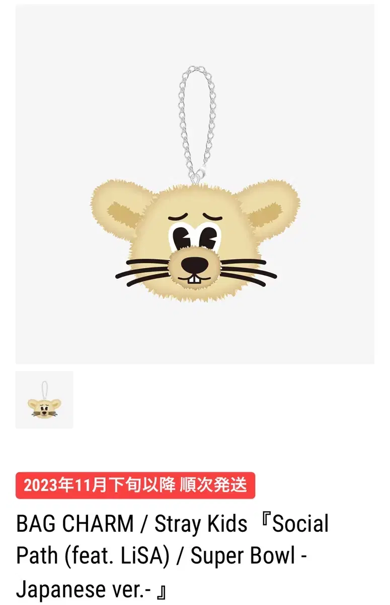 Straykids Japanese merchandise keyring skchuu