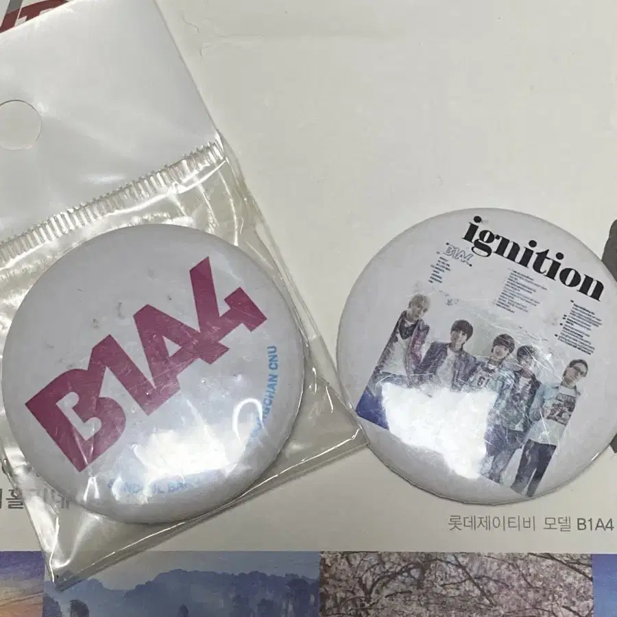 B1A4 비공굿 명찰 양도