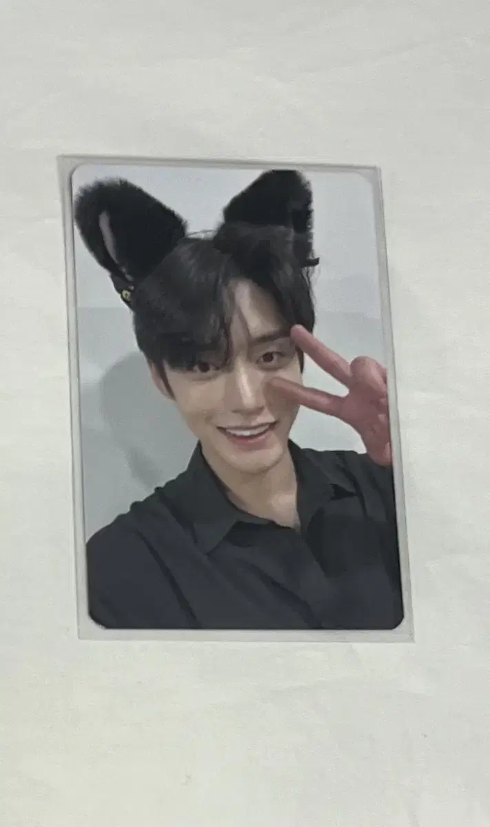 zb1 kim jiwoong cat's ear unreleased photocard photocard