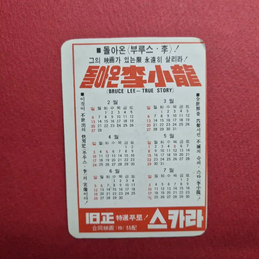 영화 카렌다 1977 돌아온 이소룡