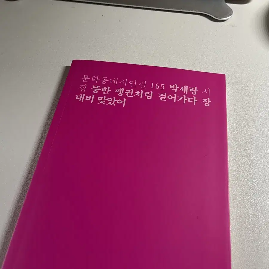 뚱한 펭귄처럼 걸어가다 장대비 맞았어