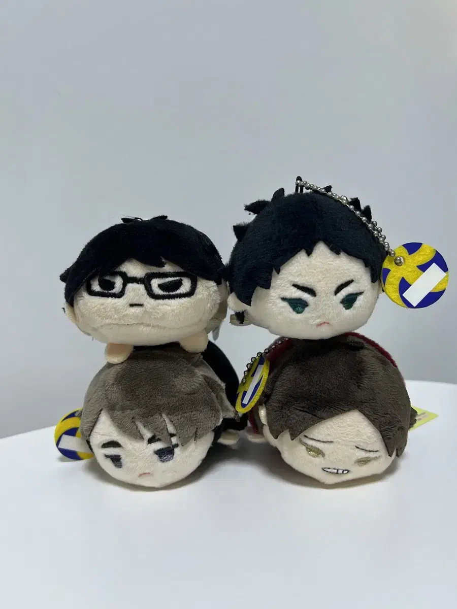 Haikyuu Norukyara