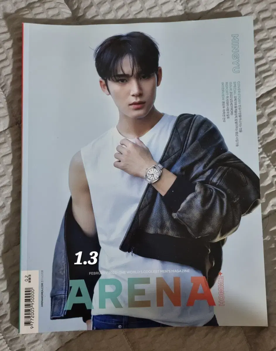 (Half-priced Delivery)SEVENTEEN mingyu Sells Arena Magazine