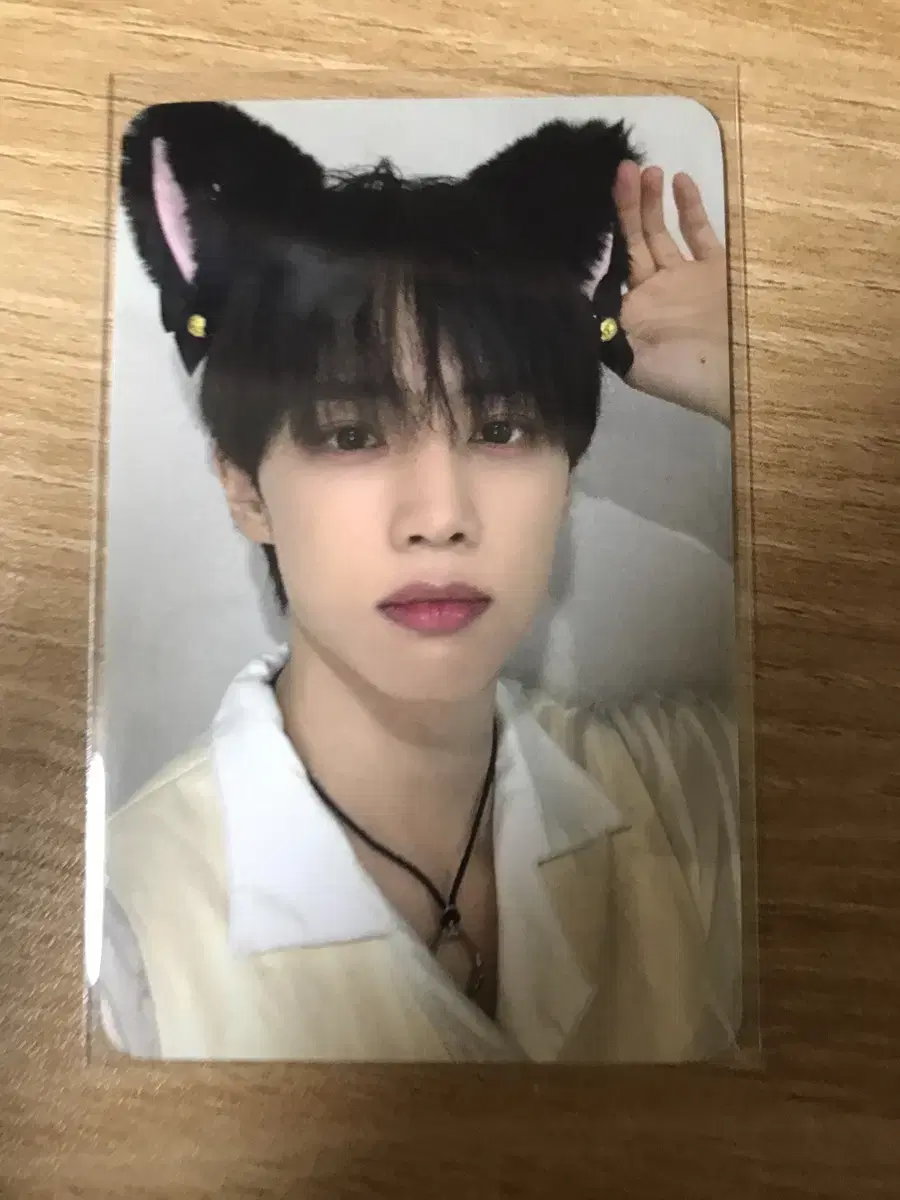 The Boyz sunwoo everline ld Cat Photocard