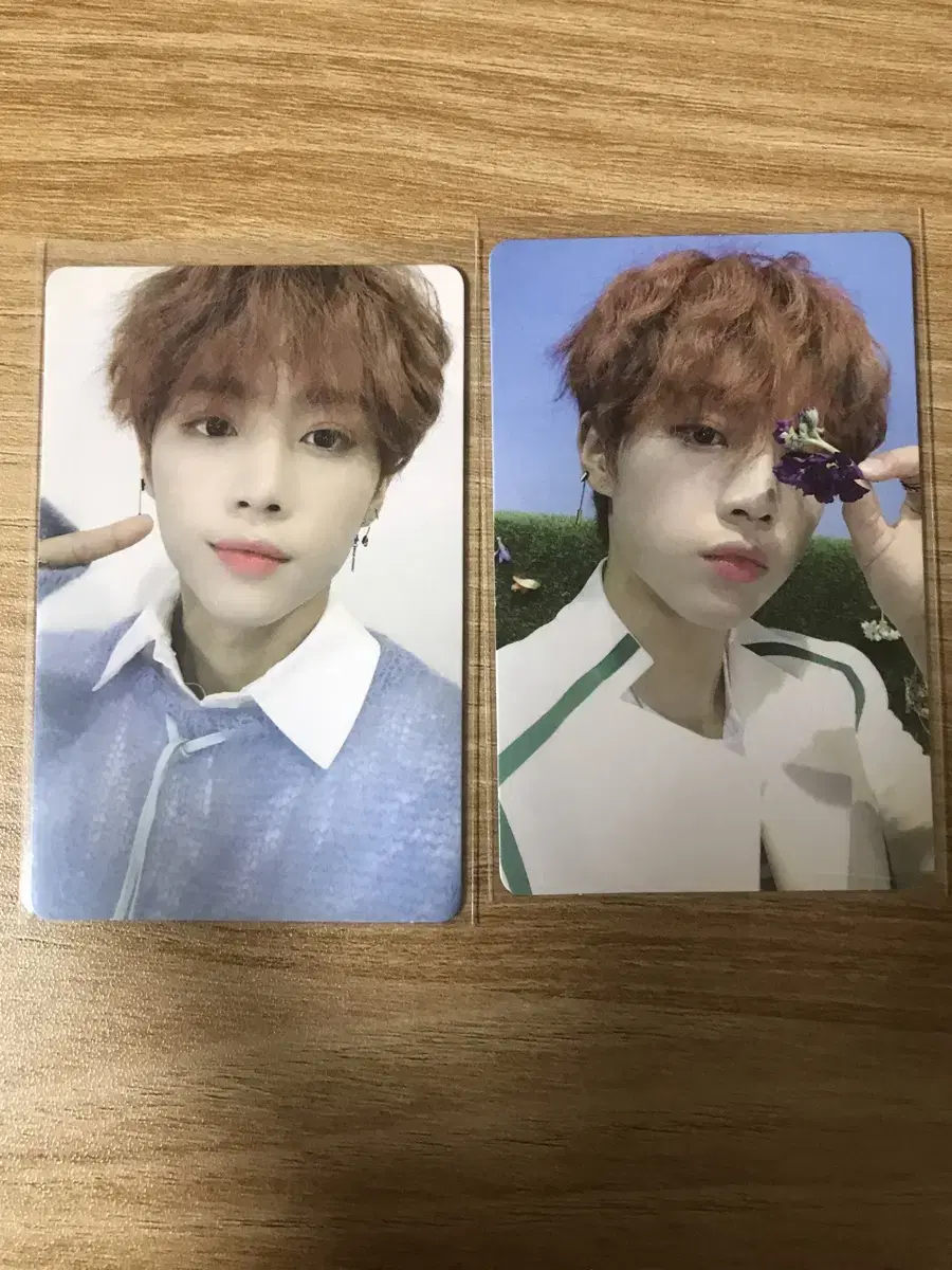 Sunwoo Bloom Bloom Photo Card