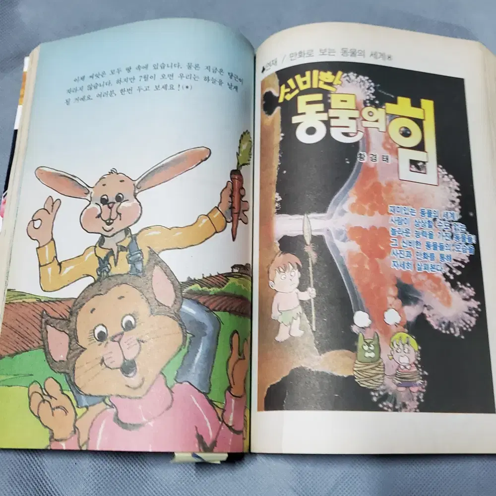 6)어린이잡지자료 .1991년2월 어린이잡지 새벗