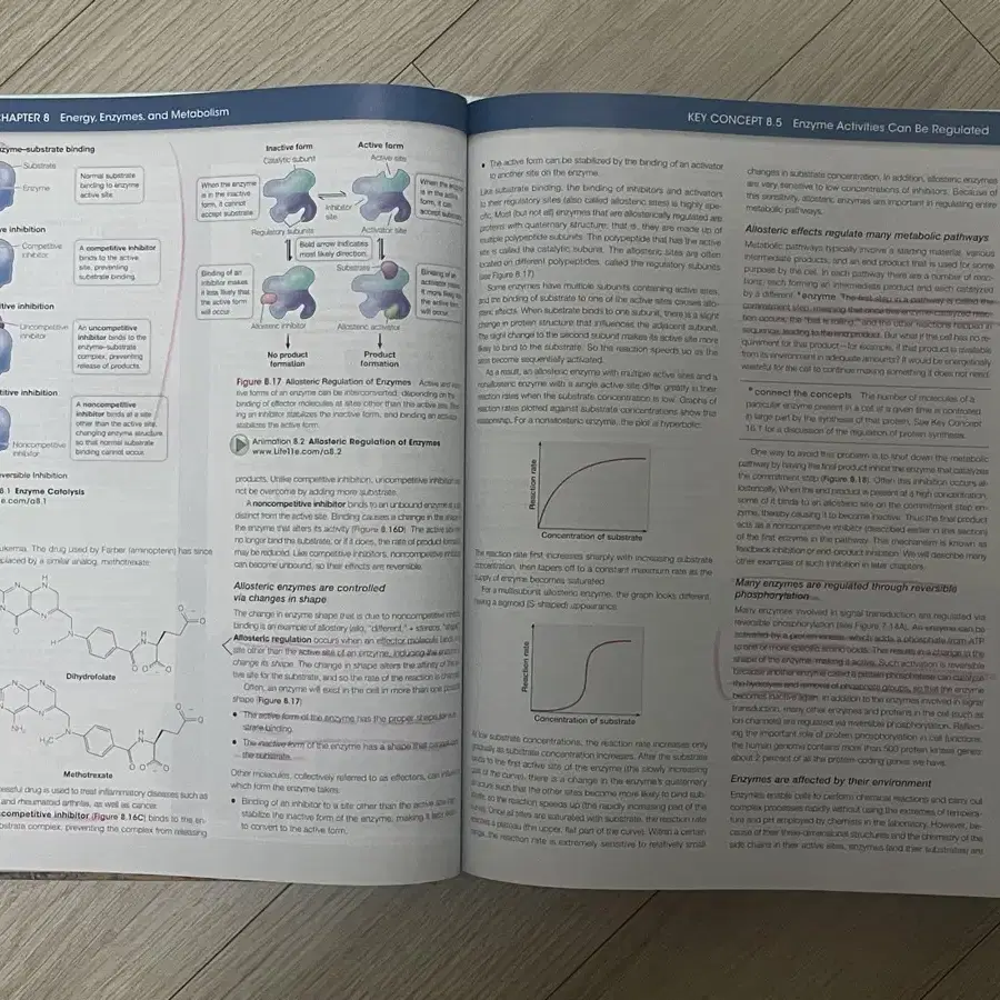 전공서적_Life: the science of biology (11판)