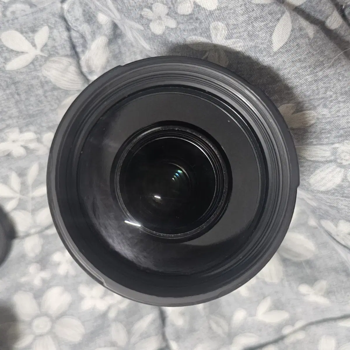 시그마 70-300mm apo 펜탁스 마운트