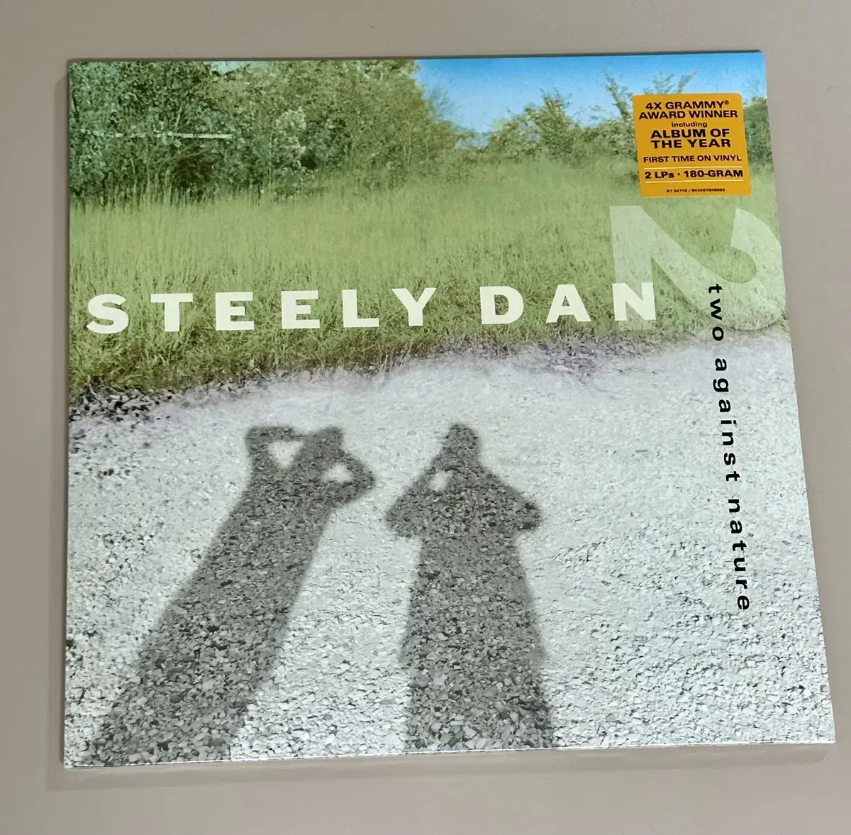 스틸리 댄 / Two Against Nature LP steely dan