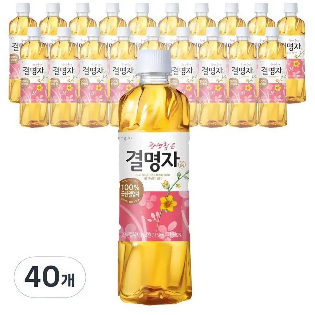 웅진하늘보리,광명찾은결명자차,맑게우려낸누룽지차500MLX40개선택