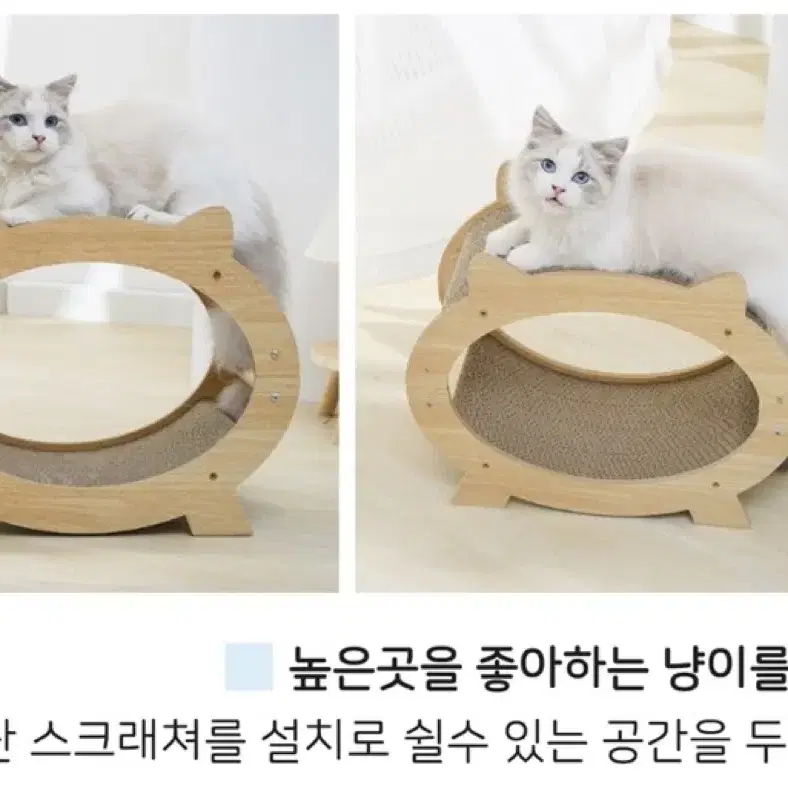 새제품)고양이 하우스 스크래쳐