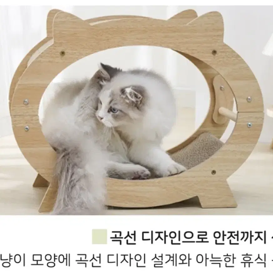 새제품)고양이 하우스 스크래쳐