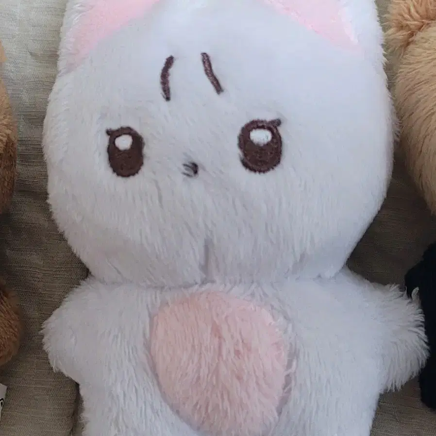 더보이즈 뉴 10cm 인형 비공굿 뉴냥이 양도