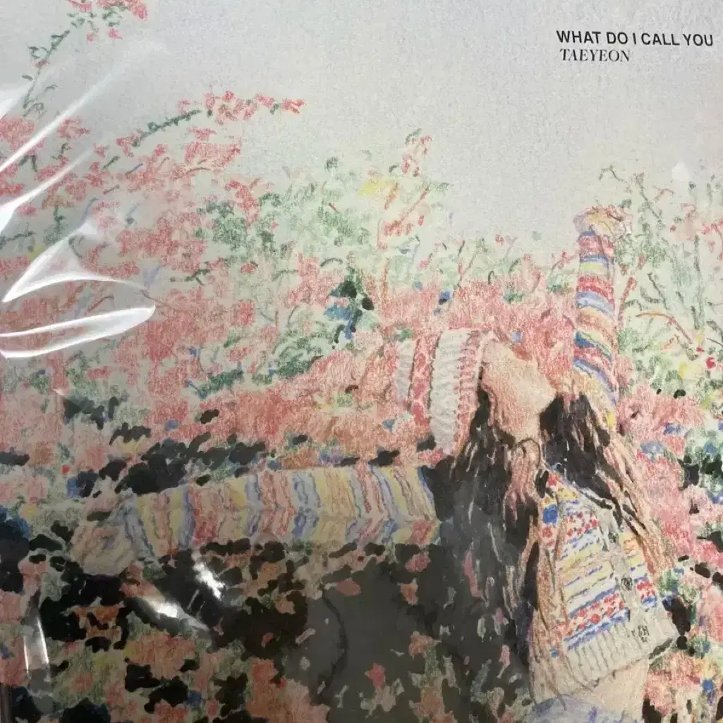 (미개봉) 태연 what do i call you lp 엘피