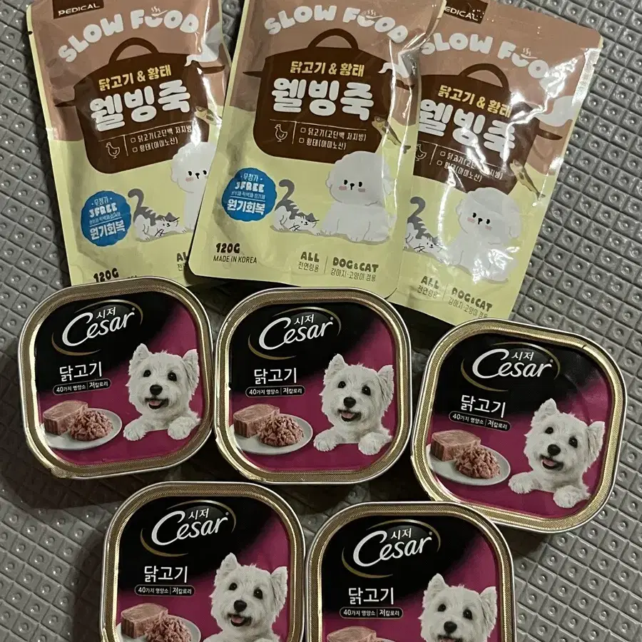 강아지 웰빙죽 시저 캔 일괄판매